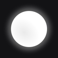 white-circle-raises-11-0m-seed-round-signalbase